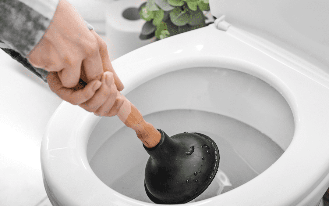 Time To Replace Your Toilet